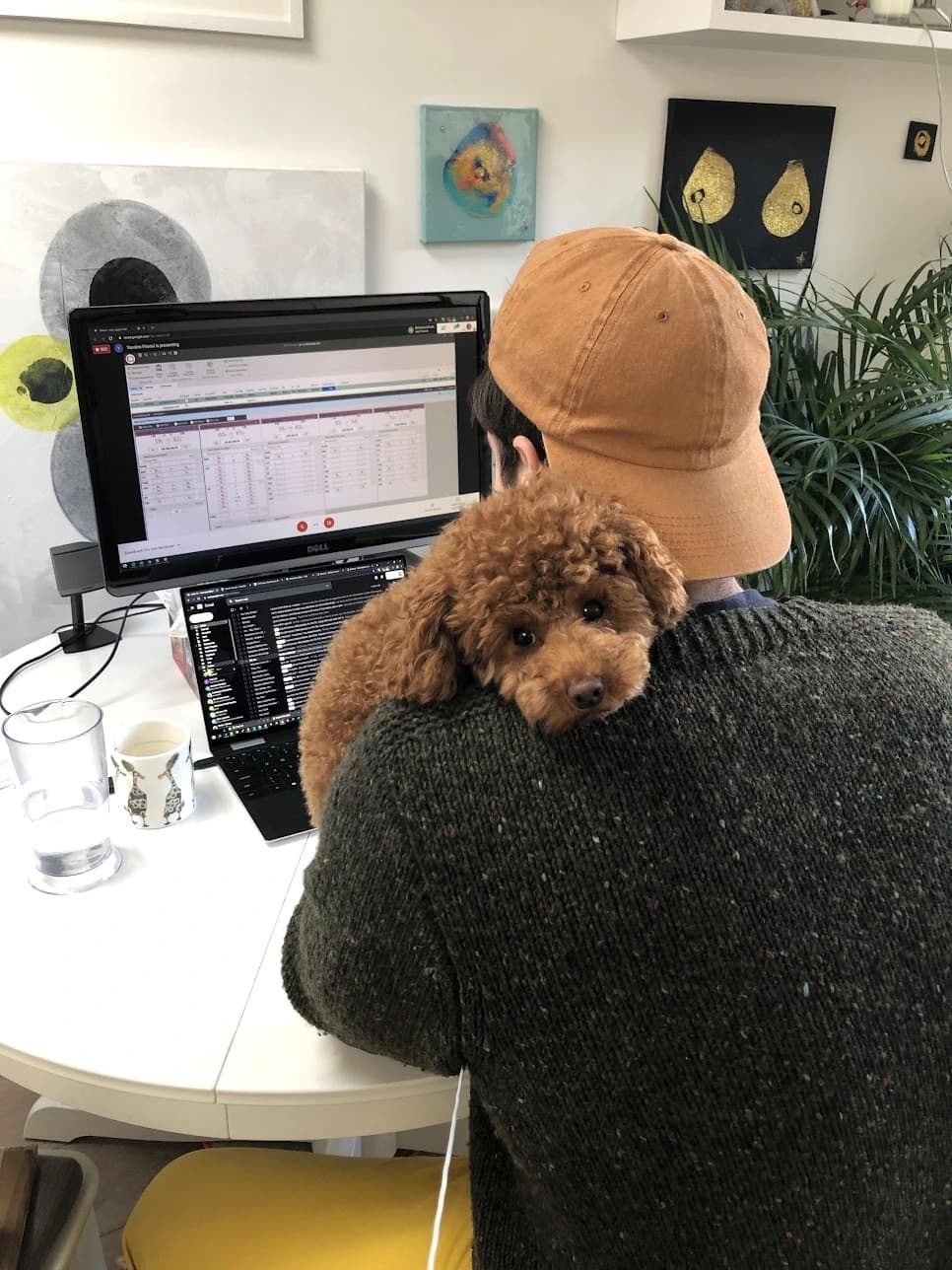 Owen Perry, Technical Co-founder