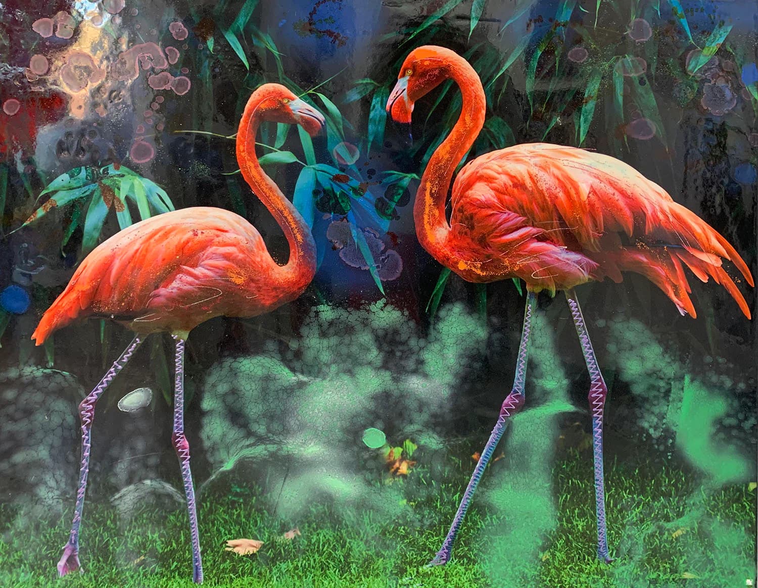 Nature Flamingos by Amber-Jane Raab, 2025